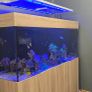 1000L Marine fish tank Image 2
