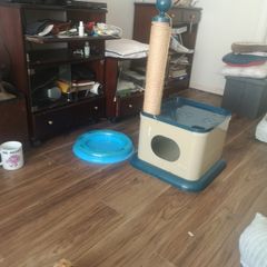 cat toy and bed