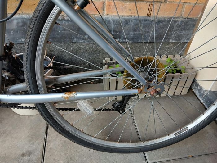 Apollo bike