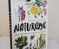 Naturama: Open Your Eyes to the Wonders of Irish Nature by Michael Fewer and Melissa Doran (PT164)