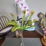 Venus flytrap artificial plant Image 7