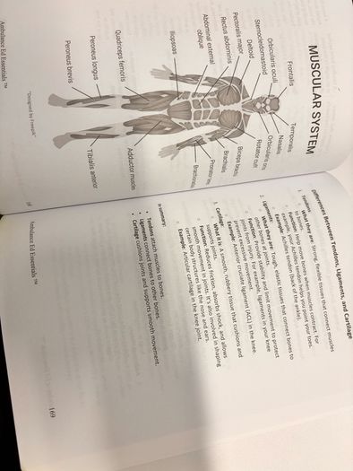 Ambulance Education Essentials