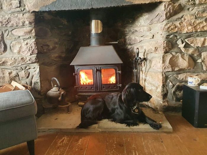 Solid Fuel Stove with Flue Recently Serviced