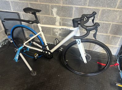 Adults bike