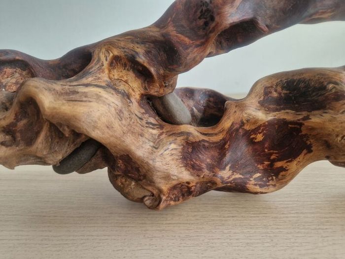 driftwood