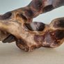 driftwood Image 2
