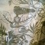 little roche shorts Image 2
