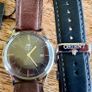 Orient Bambino Watch . Image 2