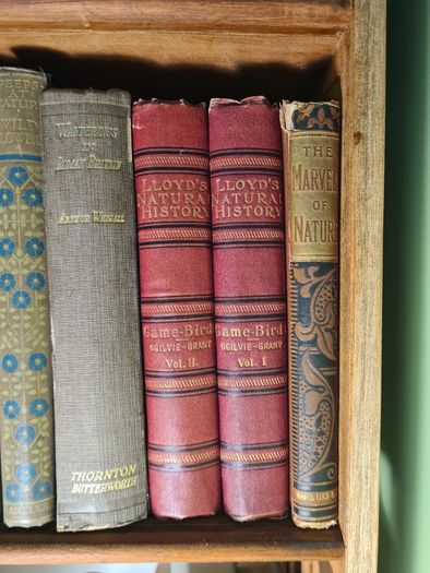 Scarce Lloyd's Natural History - 1896/7, 2 Vol. Set. Free Postage.
