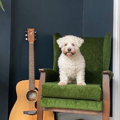 Green Antique Armchair