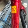 trek domane  2026 Image 2
