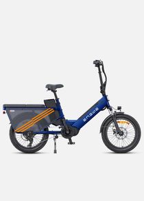 ENGWE LE20 EU Version Electric Bike