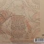 Devendra Banhart CD - Cripple Crow Image 2
