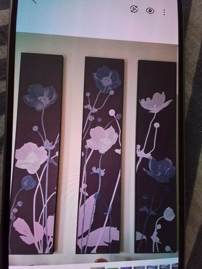 Pictures/Three Canvas Prints .. Price Drop
