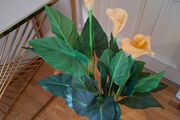 Artificial Plant Flowers Large Size new