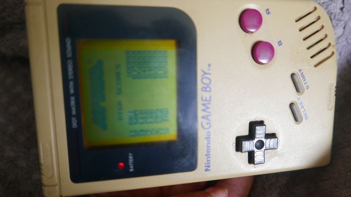 Nintendo Game Boy Launch Edition (works well)