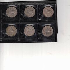 coins