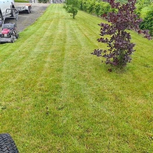 garden services