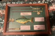 Fishing collectors framed free postage