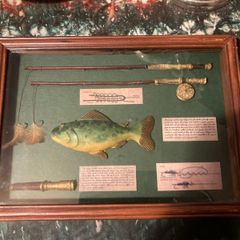 Fishing collectors framed free postage