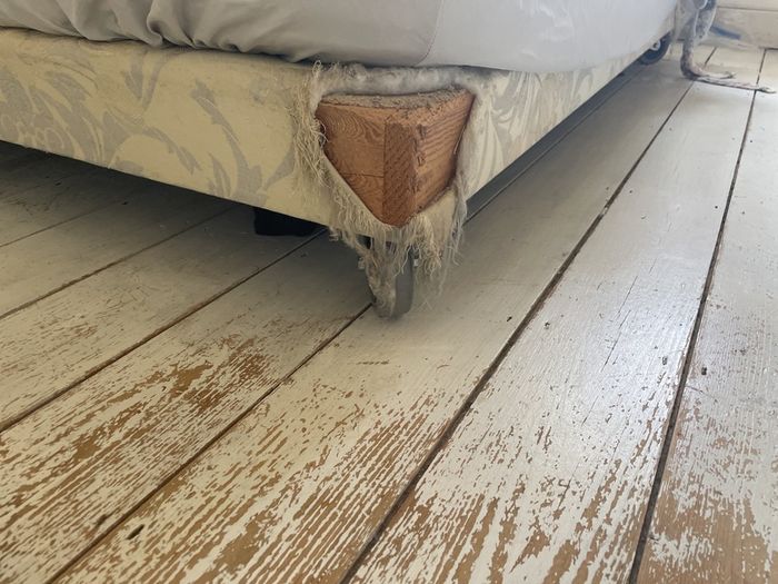 bedbase king