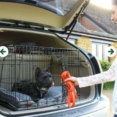 30" foldable dog crate
