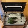 Aquarium with pump and plants Image 4