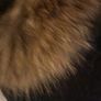 oakwood leather jacket Image 6