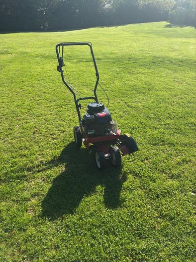 mtd lawn edger
