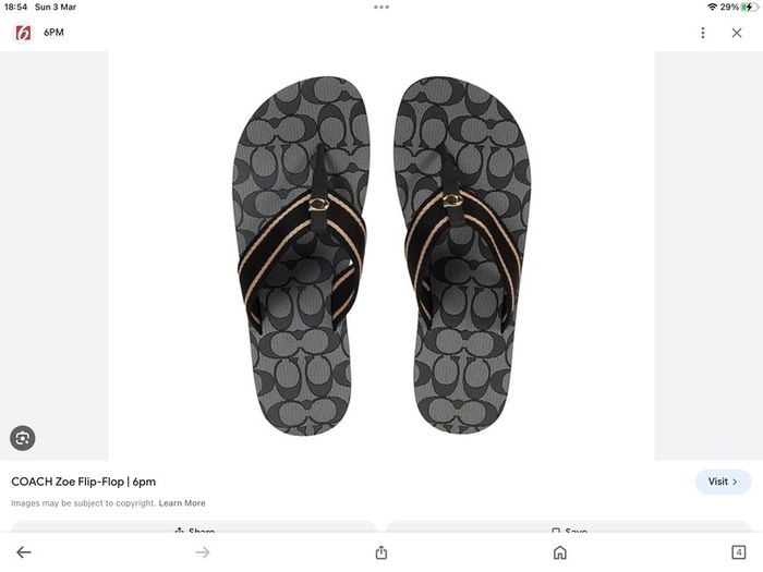 Coach Women's Zoe Webbed Flip Flops