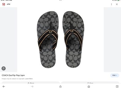 Coach Women's Zoe Webbed Flip Flops