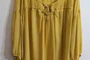 Sheer long sleeved blouse