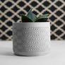 Modern 3D Printed Decorative Plant Pot Image 2