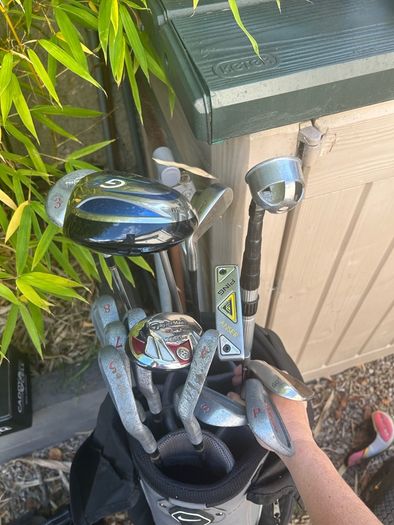 Folding Electric Golf Caddy/Trolley & Clubs & Accessories