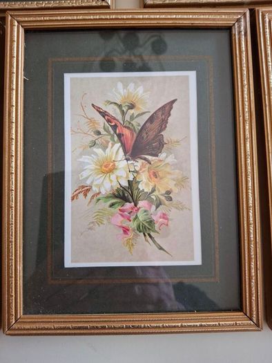Art  - Coloured Prints X 5