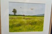 Don Conroy Watercolor