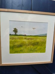 Don Conroy Watercolor