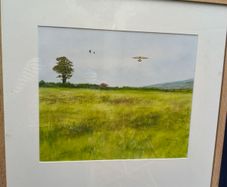 Don Conroy Watercolor
