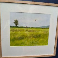 Don Conroy Watercolor