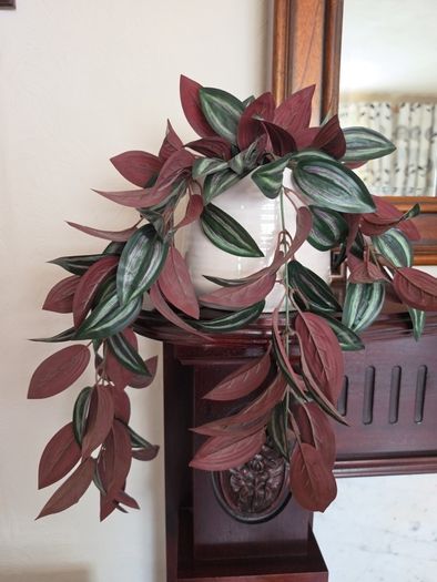 trailing artificial plant