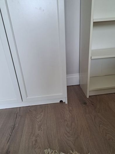 Billy Bookcase (Can deliver locally)