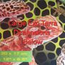 Corn Snake Large Exoterra Starter kits Image 5