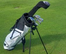 Titleist irons and ping g15 driver