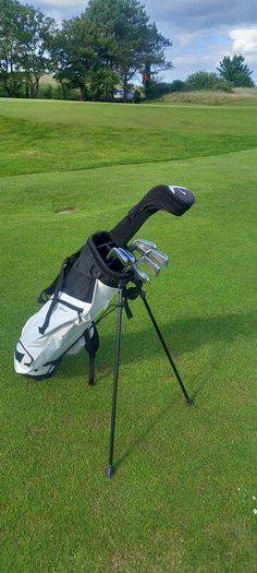 Titleist irons and ping g15 driver