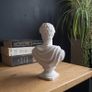 Apollo Bust 3D Printed Classical Decor, 12cm or 18cm Image 2