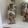 Sea shells in bottles Image 9