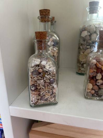 Sea shells in bottles