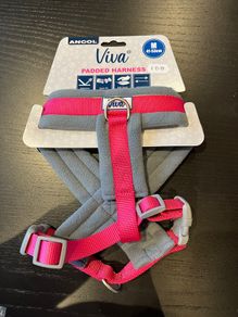 dog harness