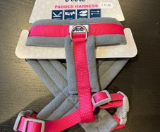 dog harness