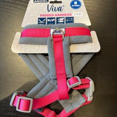 dog harness